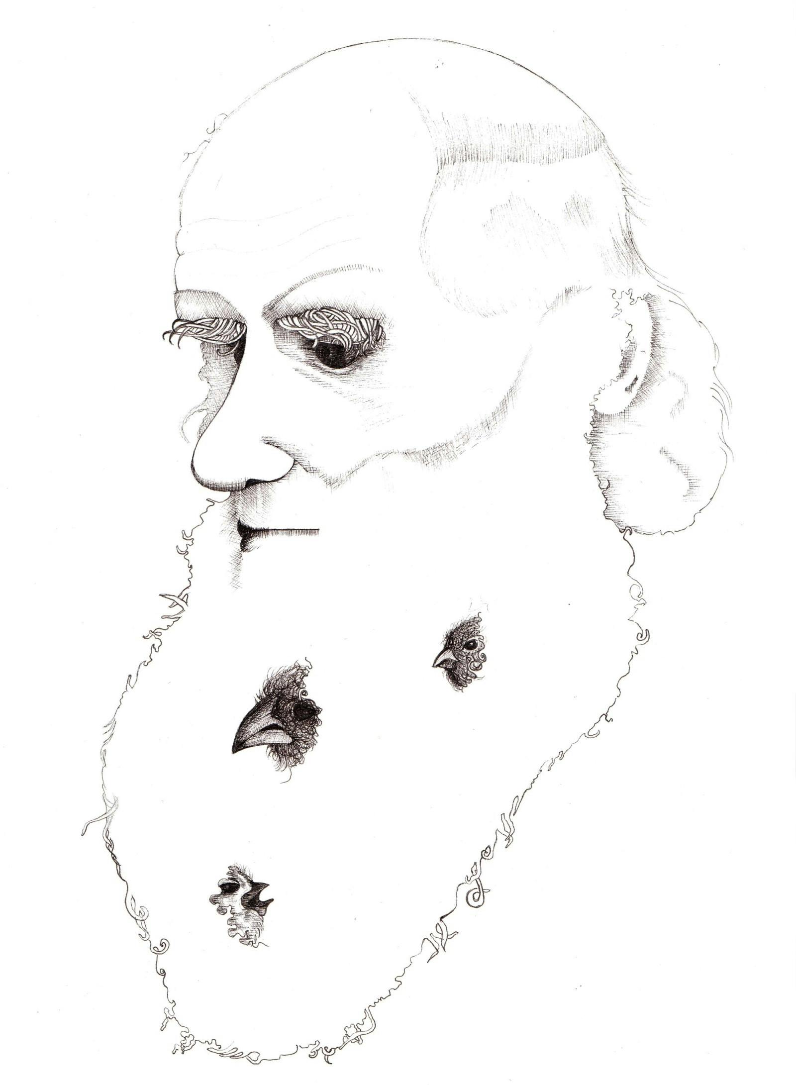 An pencil illustration of a man with a bushy beard, with birds peeking out.